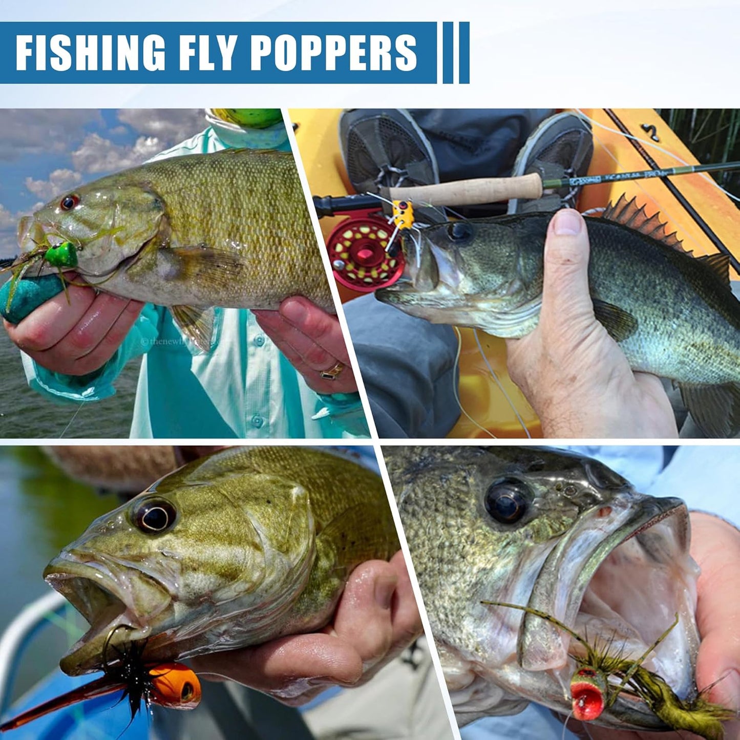Fly Fishing Poppers: 5-Piece Surface Action Kit 