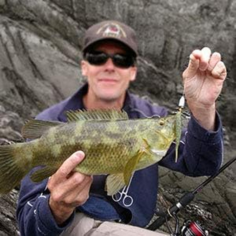 Pro-Series Spinnerbait Kit: 10-Piece Collection
